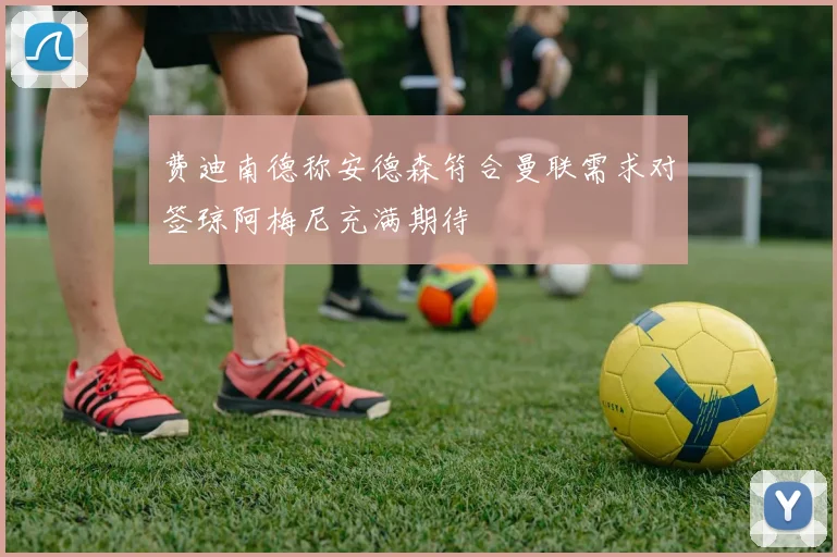 费迪南德称安德森符合曼联需求对签琼阿梅尼充满期待